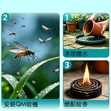 高效正確滅蚊方法大對比